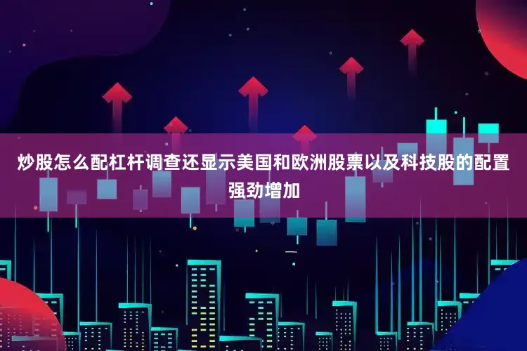 炒股怎么配杠杆调查还显示美国和欧洲股票以及科技股的配置强劲增加
