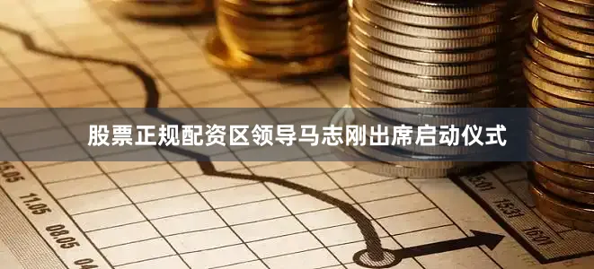 股票正规配资区领导马志刚出席启动仪式