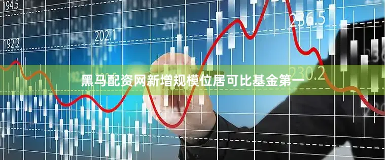 黑马配资网新增规模位居可比基金第一