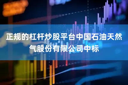 正规的杠杆炒股平台中国石油天然气股份有限公司中标