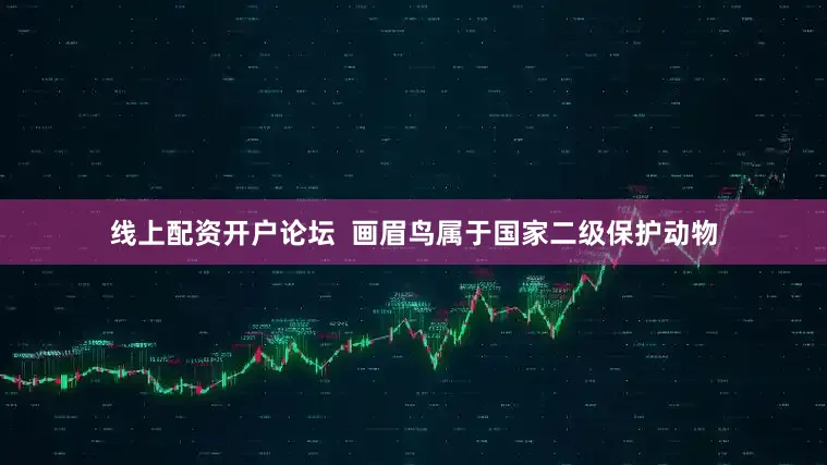线上配资开户论坛  画眉鸟属于国家二级保护动物